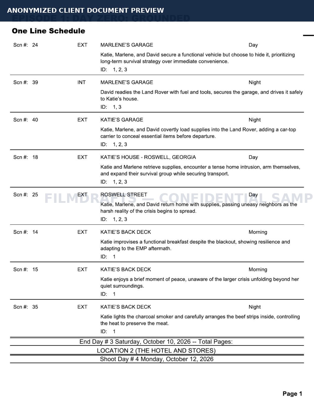 Anonymized series production planning document preview