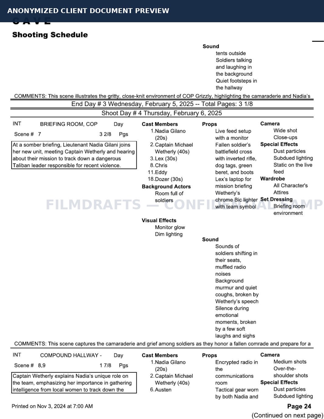 Anonymized film budgeting document preview